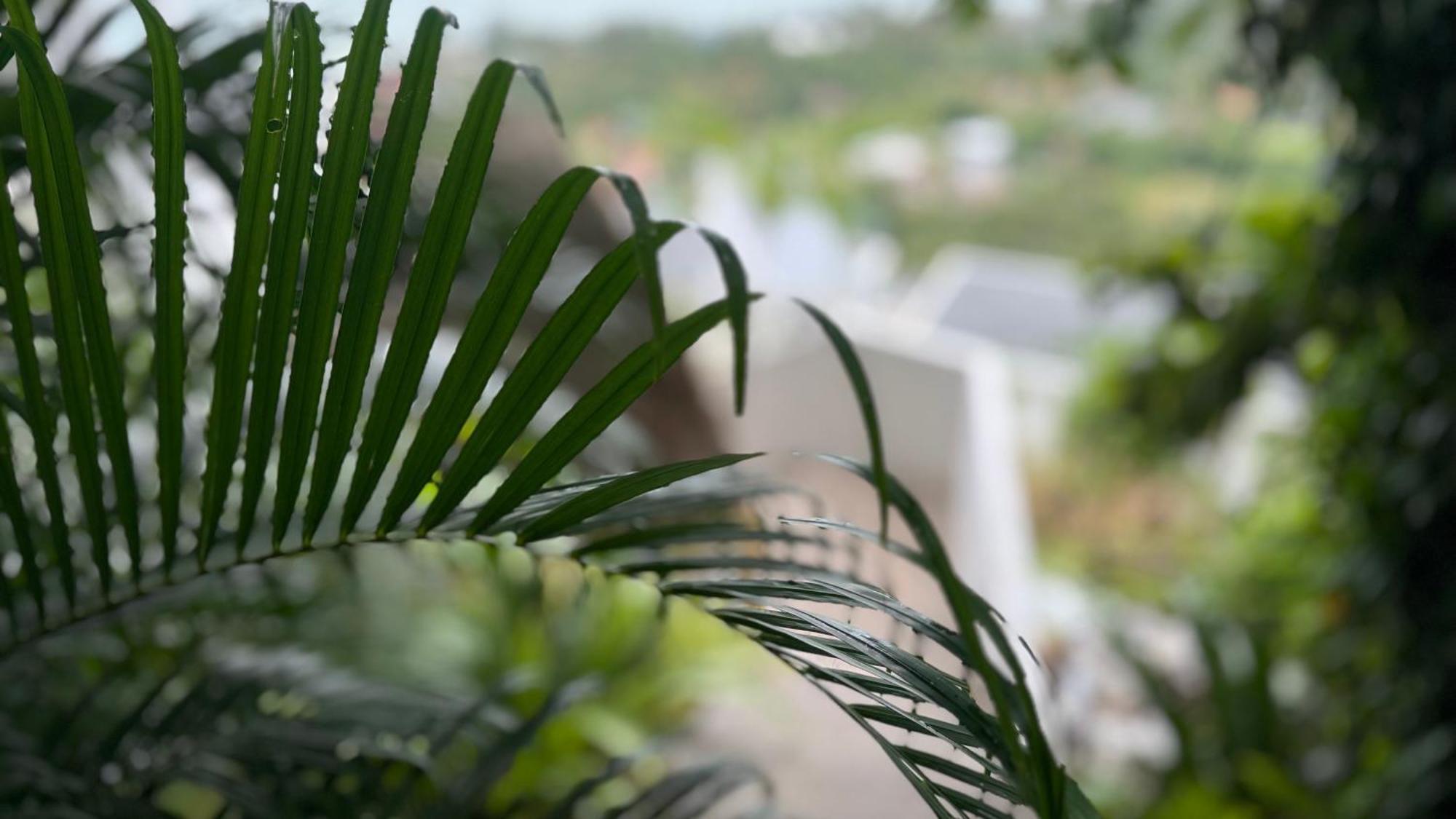 Anzhu Seamate Villa Samui Amphoe Koksamui Luaran gambar
